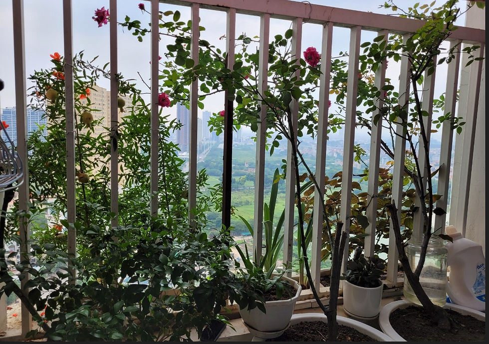 The upside of stress