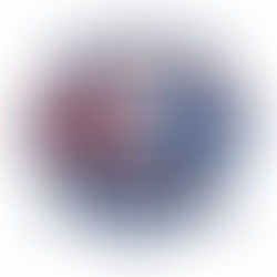 CBUSA: The Difference Maker Award