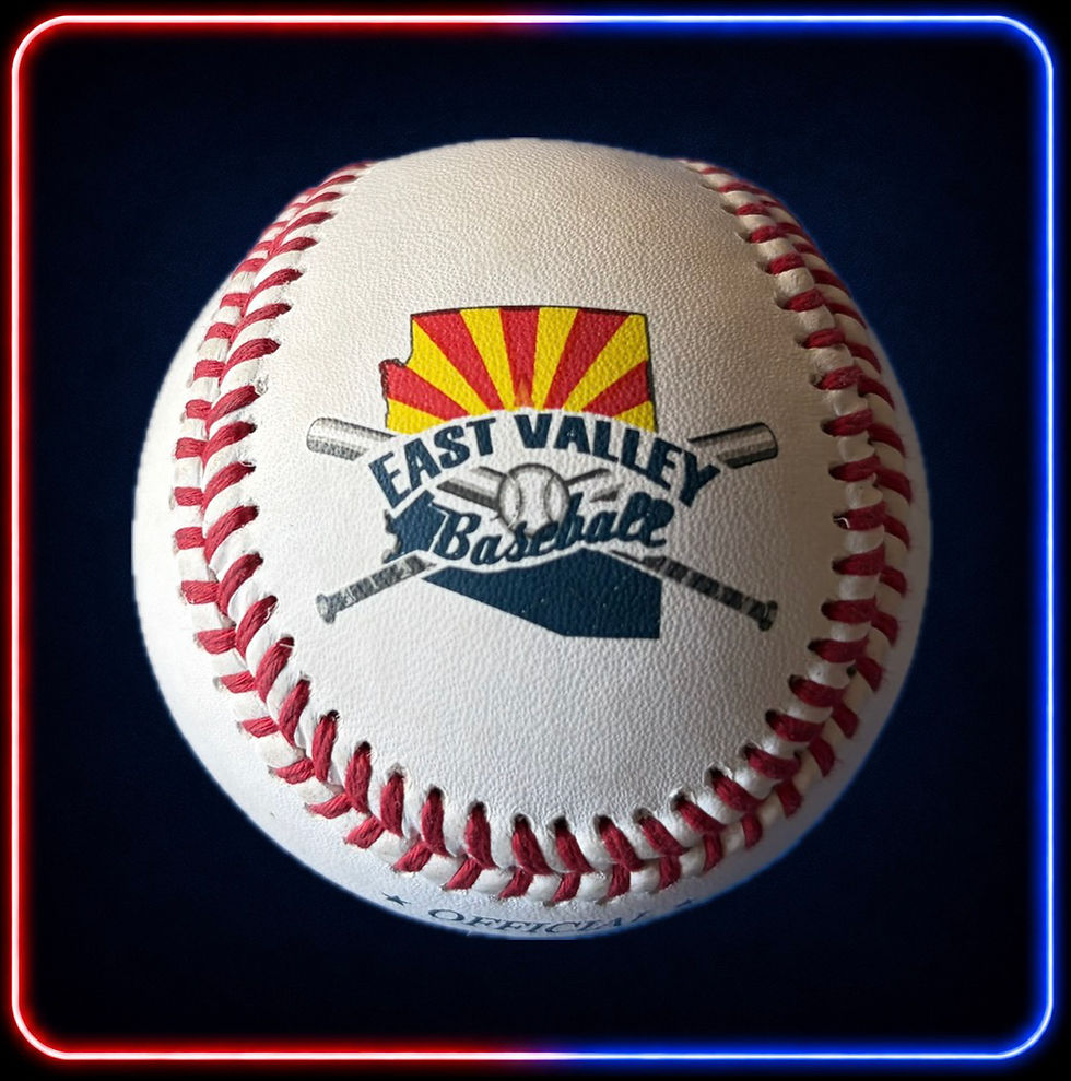 Thumbnail: Professional Quality Baseball Case (120 Baseballs)