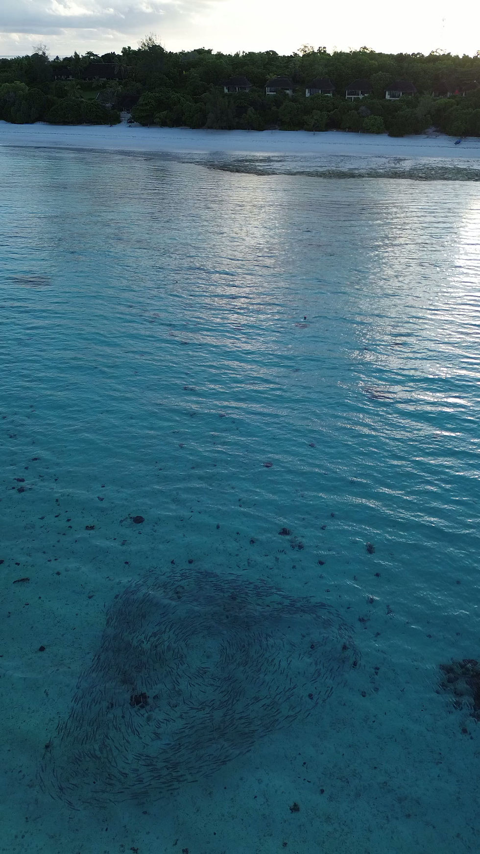DJI_0144.MP4