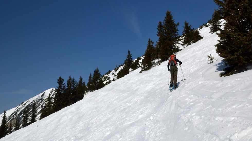 Sonntagshorn (10).JPG