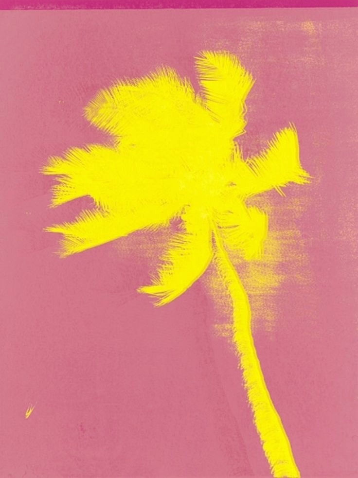 Palm & Plank in Coral Gables
