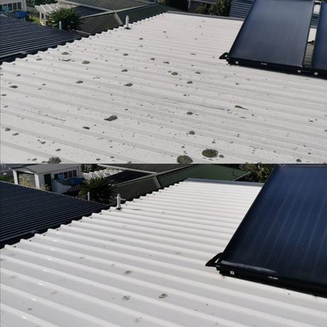 Image of a Roof before cleaning covered in lichen and mould and After, cleaned with much less lichen and mould