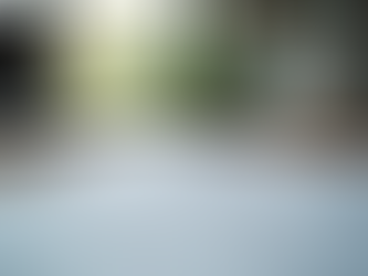 Key Features of Top Resume Writing Services