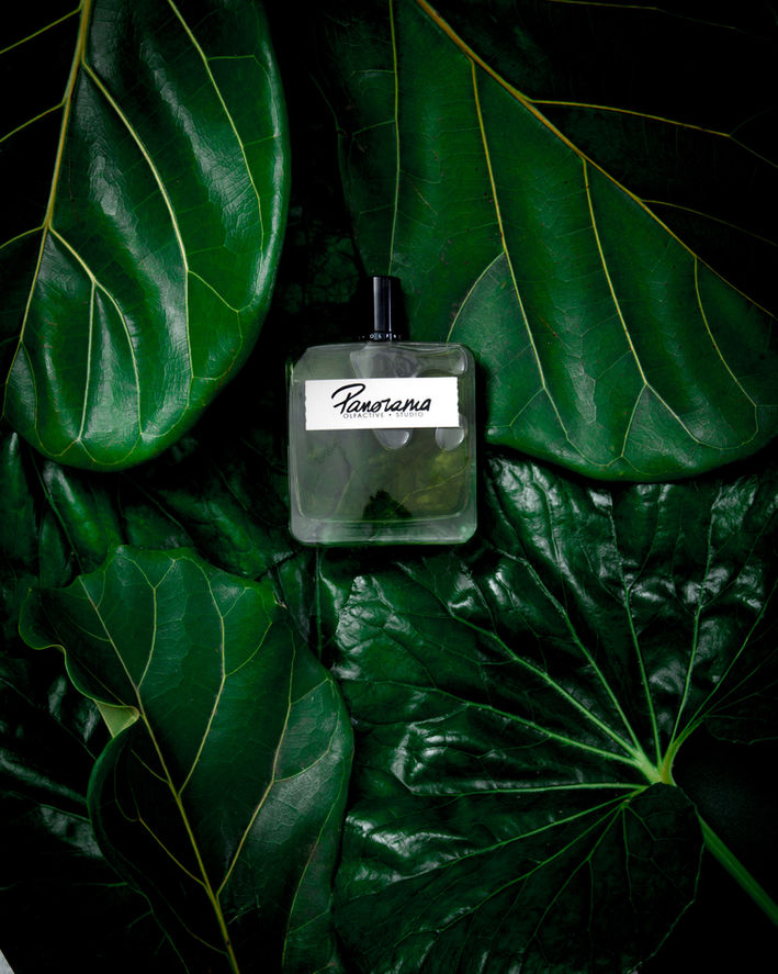 stilllife-via-Panorama-fragrance-series
