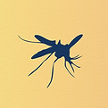 Mosquito 
