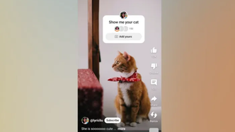 YouTube lança adesivo 'Sua vez'