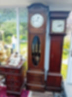 thumbnail_20240801_074648_edited