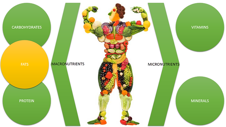 2 types of nutrients nutri4health today essential nutriants