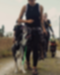 Facetune_29-09-2023-16-26-37.HEIC