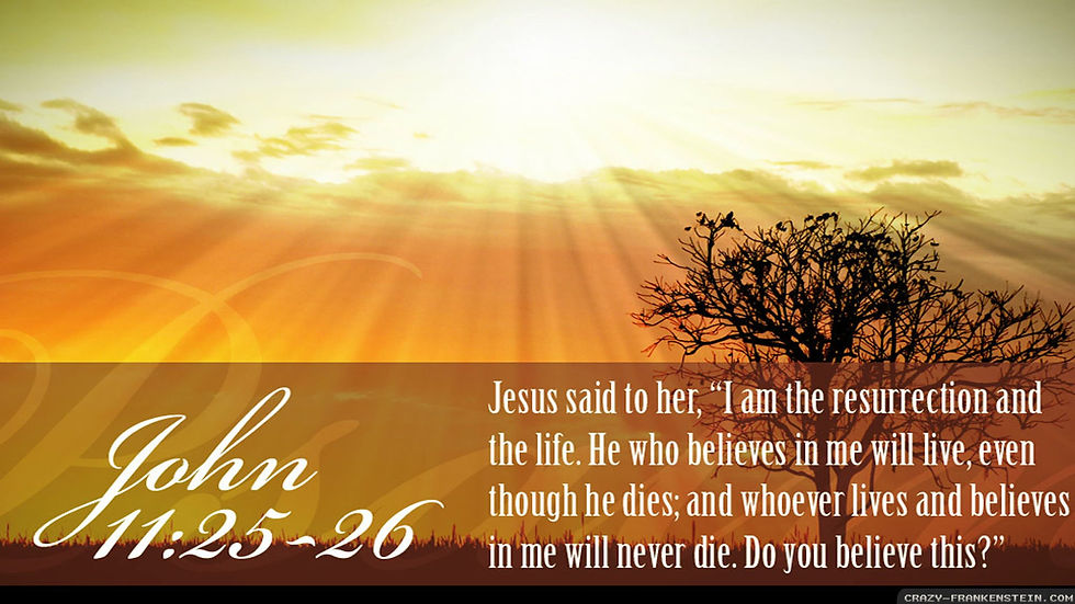 jesus is the resurrection easter quotes wallpapers 2560x1440jpg.jpg
