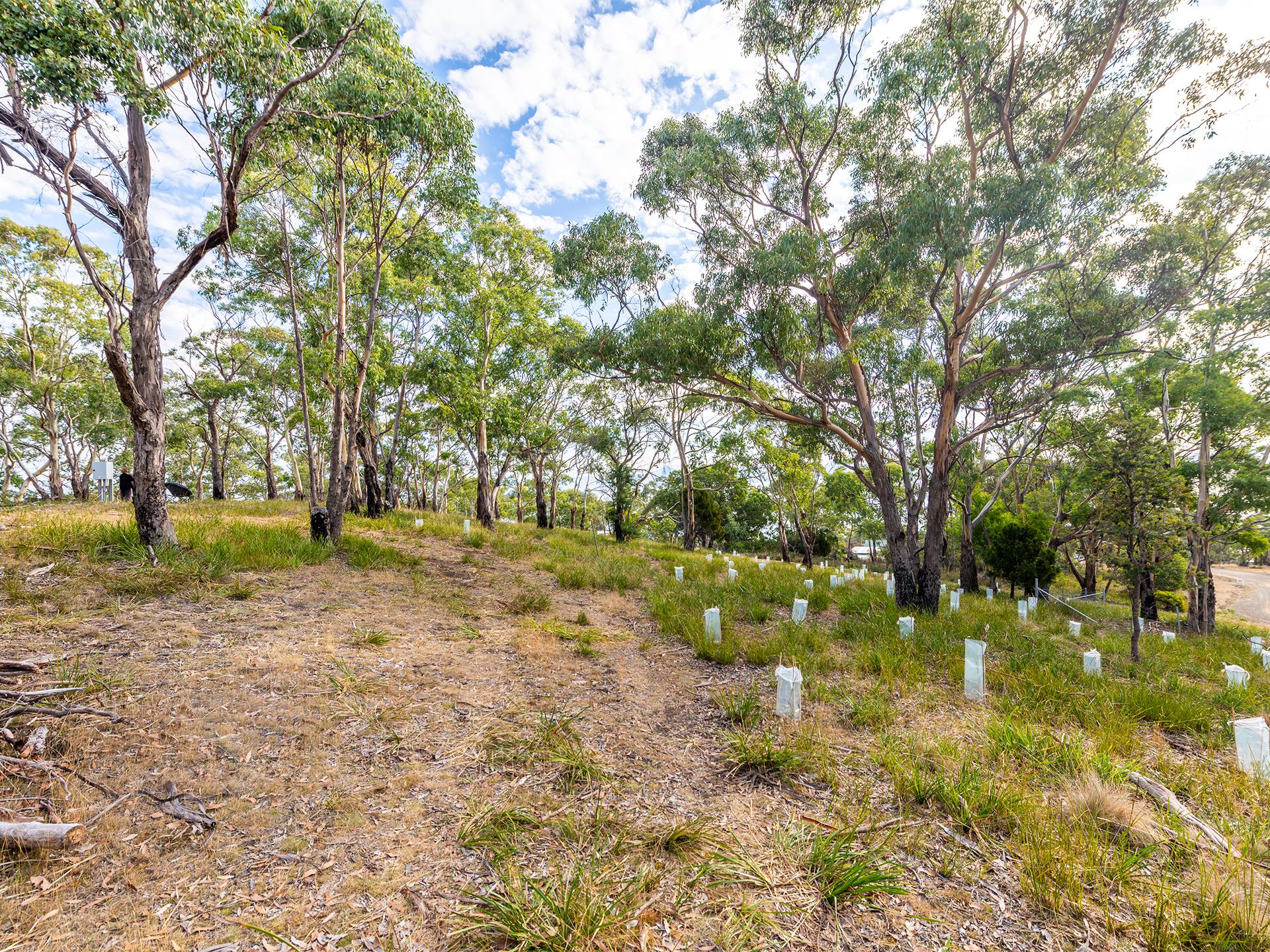 10 Jannali Road, Alonnah, Tas 7150, Alonnah - Thumbnail 7