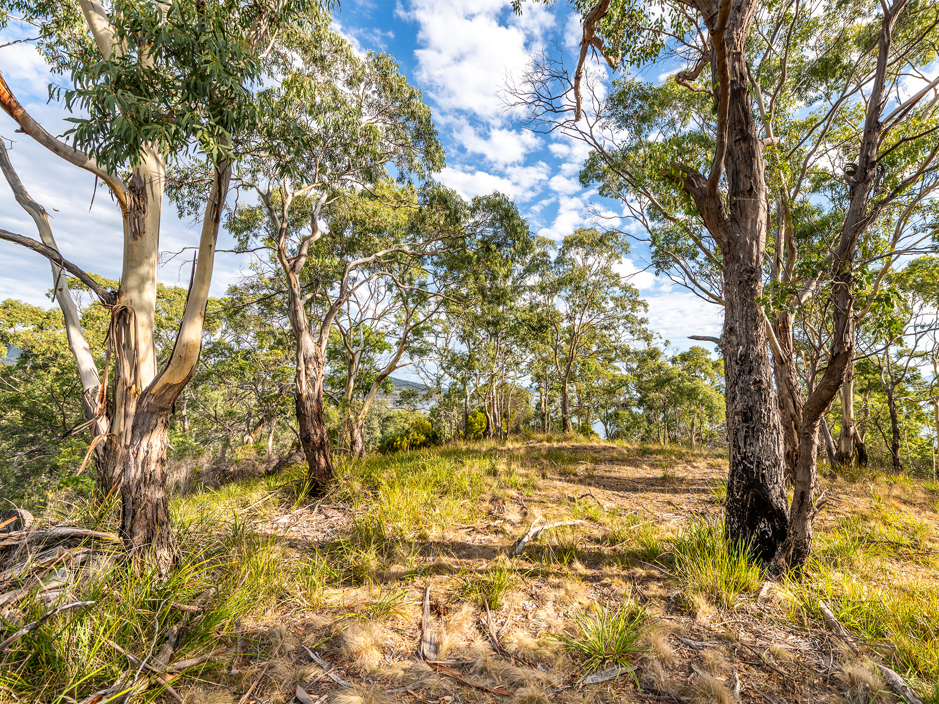 10 Jannali Road, Alonnah, Tas 7150, Alonnah - Thumbnail 6