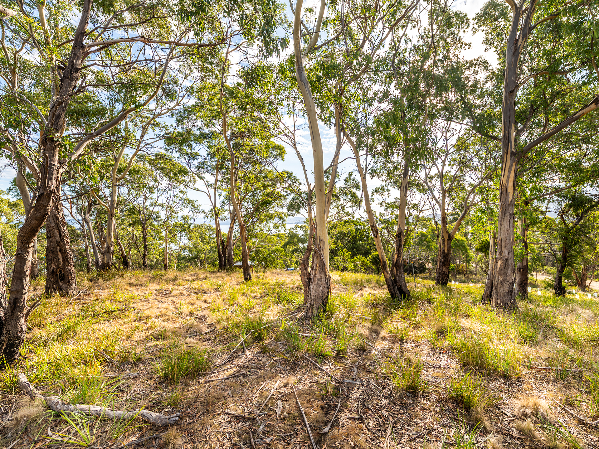 10 Jannali Road, Alonnah, Tas 7150, Alonnah - Image 1