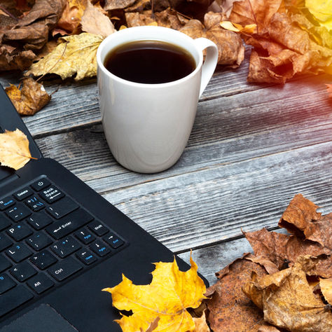 Autumn Adjustments: How CFO Outsourcing Services Optimize Year-End Planning