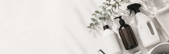 baner_n2_edited_edited.jpg