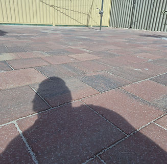 20260622_132039.jpg