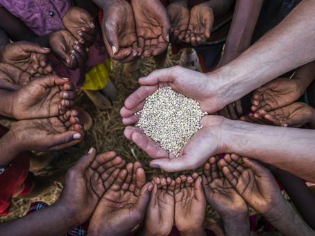 Mi a Célja az Életnek?