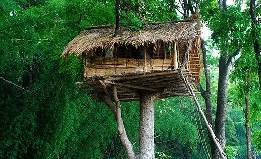 Kerala Honeymoon Package