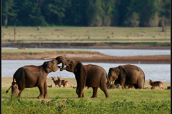 Nagarhole