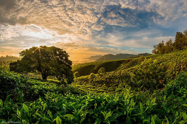 Munnar