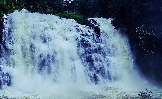 Coorg-Wayanad