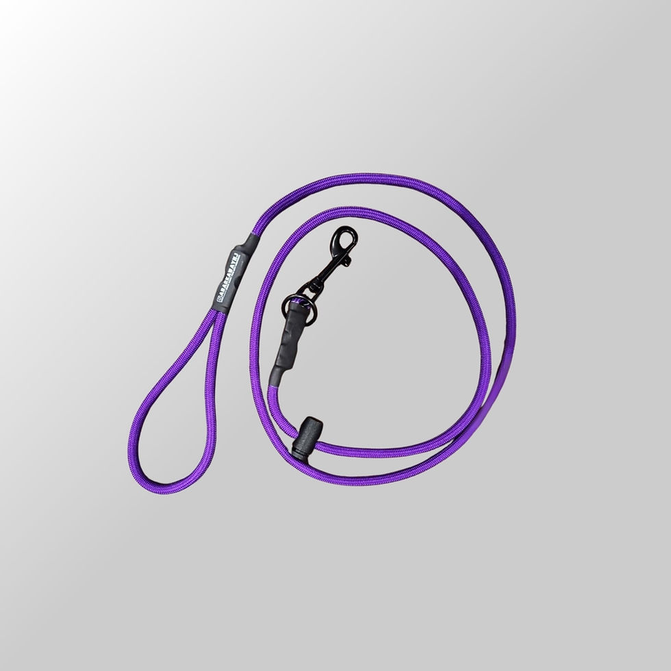 Thumbnail: A Bark Away NJ 2-in-1 Training Slip Lead with Safety Clip — durable paracord leash designed for control, comfort, and balance