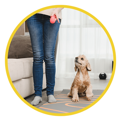 A BARK AWAY NJ-min.png