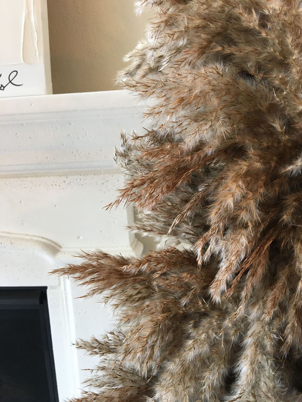 Thumbnail: 4.75ft Brown Pampas Christmas Tree