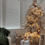 Thumbnail: 8ft Pampas Christmas Tree - cream & taupe stems