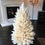 Thumbnail: 2ft 3in Pampas Christmas Tree