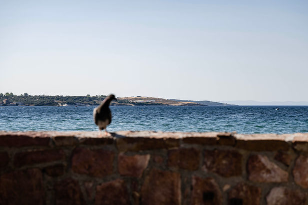 Blick auf das Flüchtlingscamp Moria 2.0 auf der Insel Lesbos. Bild: Susanne Goldschmid