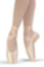 Synthesis Pointe Shoe