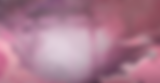 FUNDO-6.png