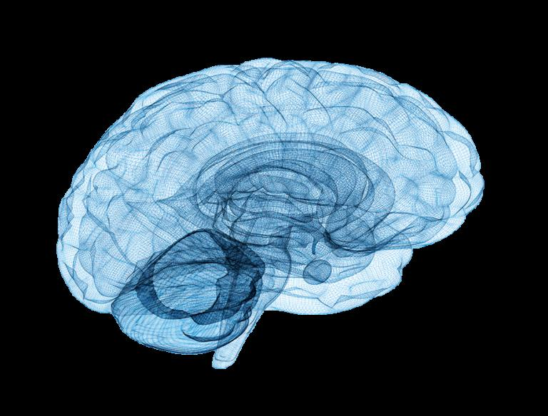 Modelo da Mente: O que é Consciente, Subconsciente e Inconsciente.