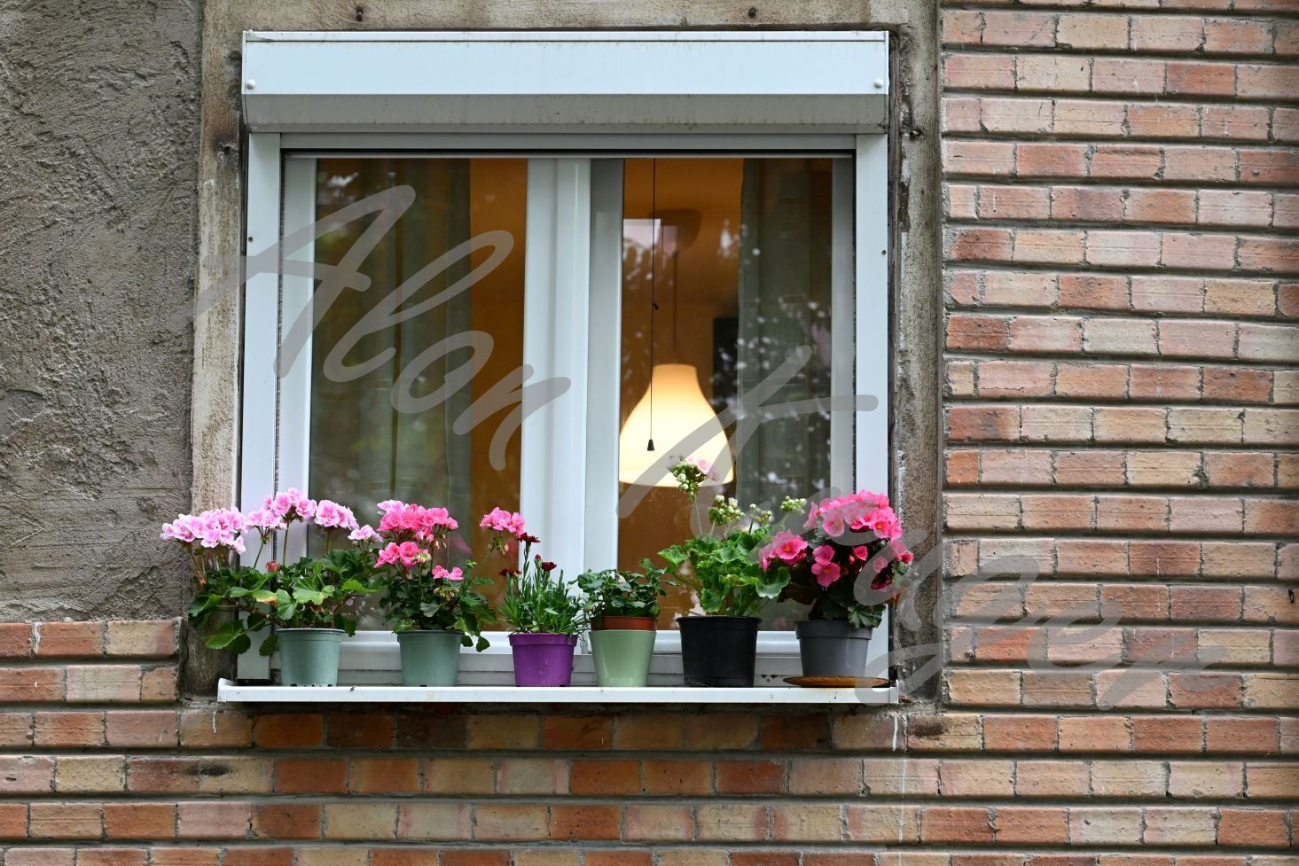 Alon Kruger H (2772)