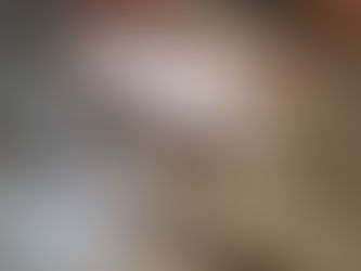 New Dirt Modified Bodies