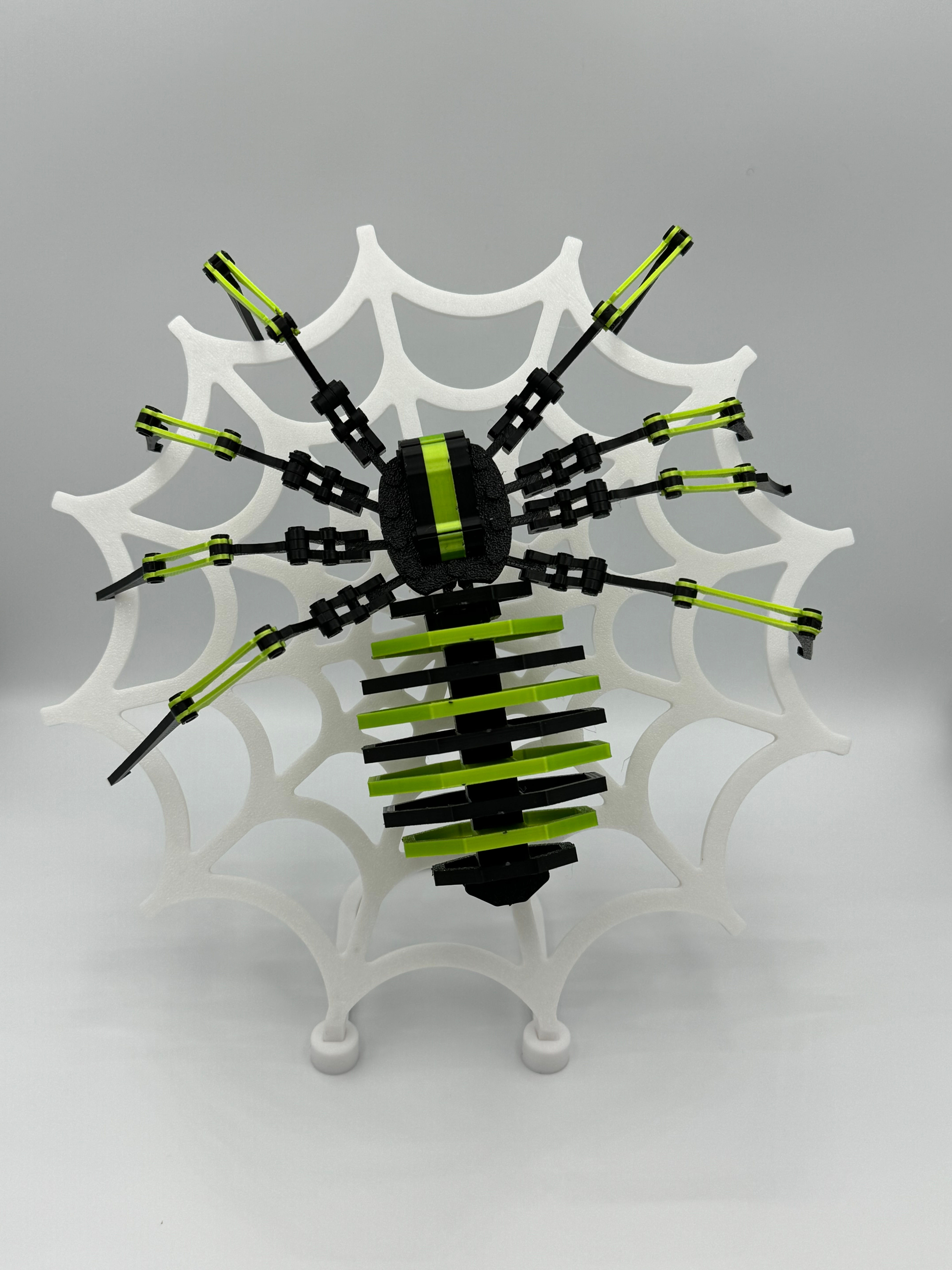 3D PRINTED ROBOTIC SPIDER WITH WEB