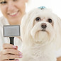 Professional pet groomer brushing a Maltese dog with a slicker brush, showcasing Hairy's Pet Supply & Grooming services in Sa