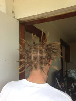 12829134_912940585421933_3314921089338161501_o