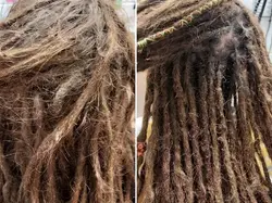 384107_bad2d7f710ae4b77b8abe8ee9fb4ffc6~mv2