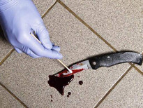 A Snapshot of the Development and Implementation of the Criminal Justice (Forensic Evidence and DNA