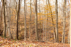 20211120-IMG_5214