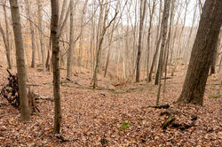 20211120-IMG_5195