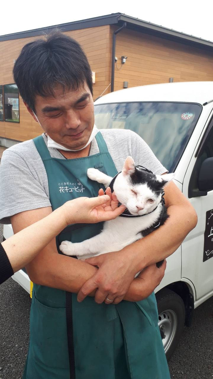 保護猫を抱き上げる保護活動を支える仲間