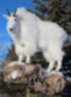 317