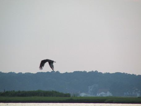 IMG_7014.jpg