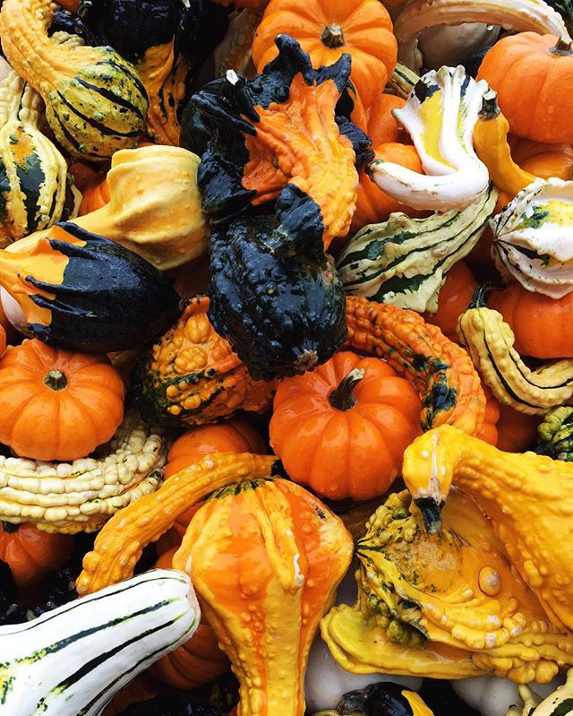 box full of squashes