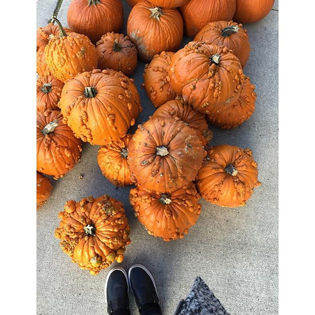 bumpy pumpkins