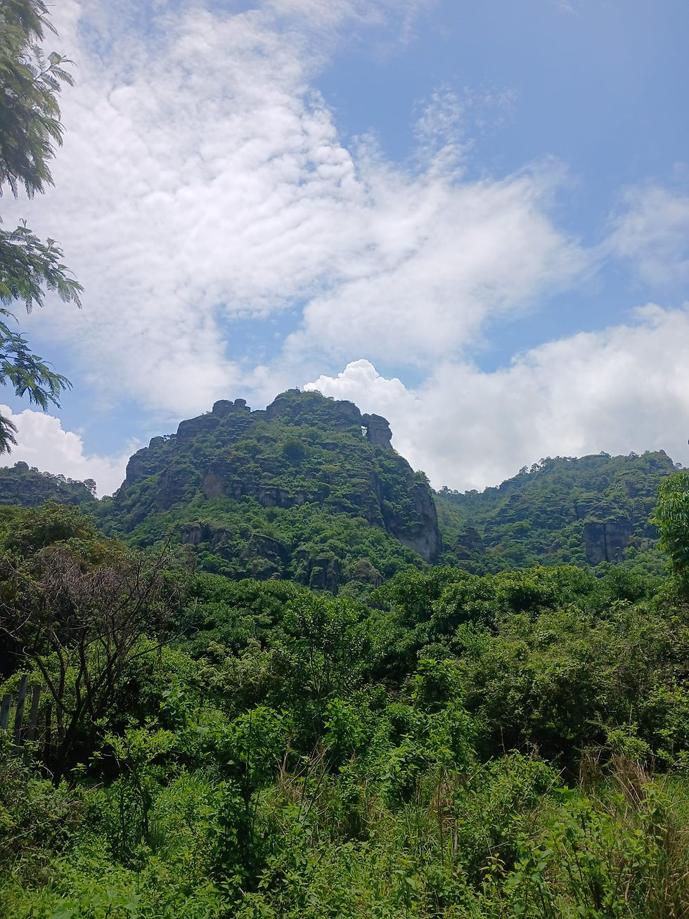 WhatsApp Image 2024-08-20 at 16.24.31 (3).jpeg